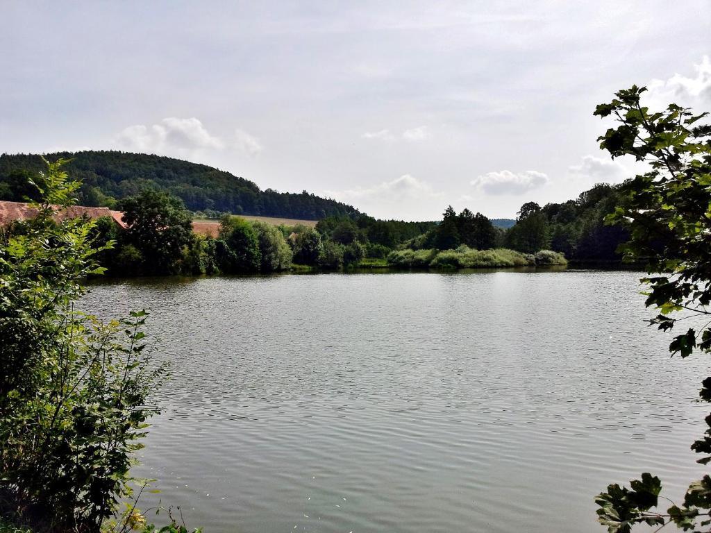 Pension Mlyn Stare Mitrovice Sedlec-Prcice Exteriör bild